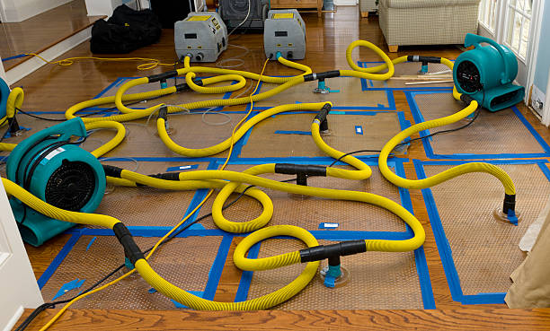 Professional Storm Water Damage Restoration technician working in Buena, NJ